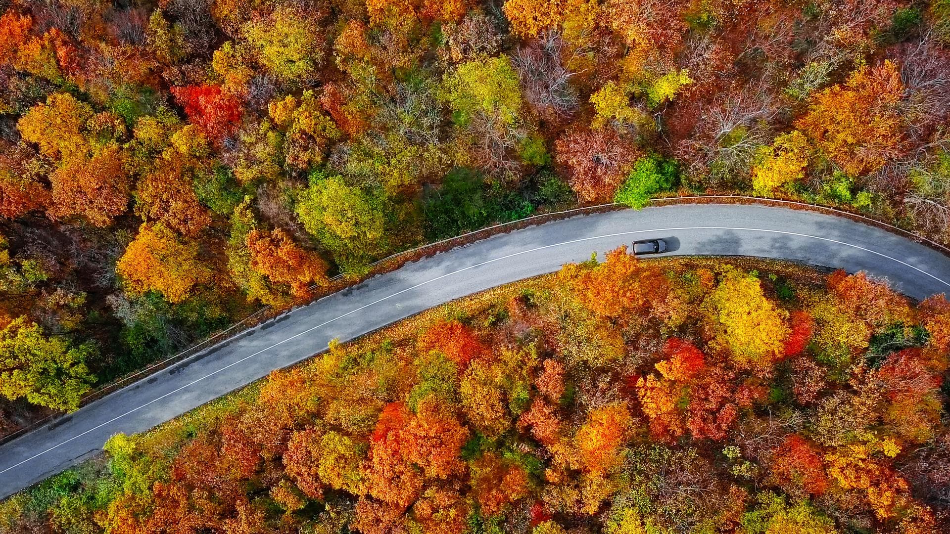 Autumn colors X